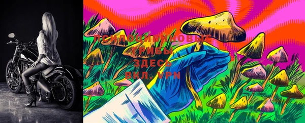 марки lsd Козловка