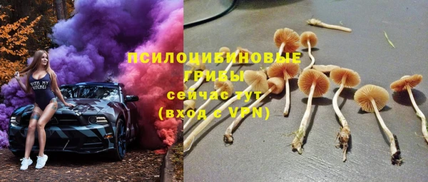 герыч Болохово