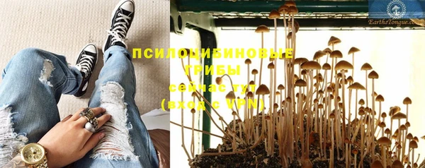 прущие крисы Козельск