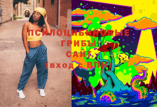 МДПВ Карталы